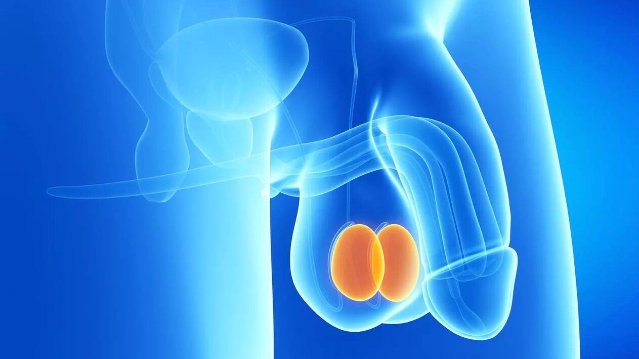 price of penis enlargement surgery
